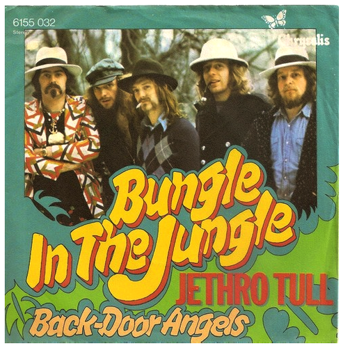 Bungle in the Jungle